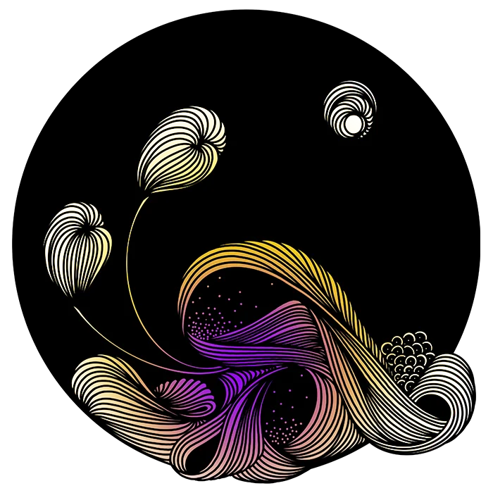 Ilustra_2 Ilustra_2