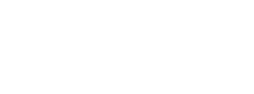 Reseña